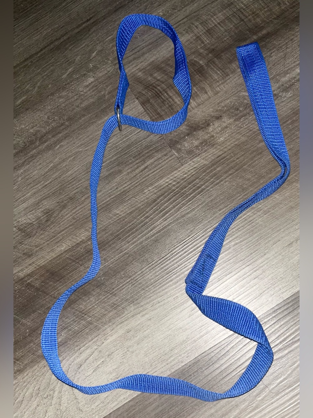 Blue No Pull Loop Leash
